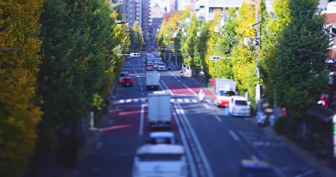 A cityscape of miniature traffic jam at the yellow gingko street in Tokyo