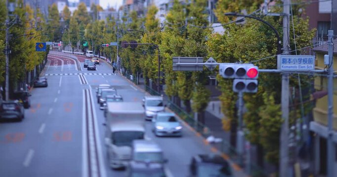 A cityscape of miniature traffic jam at the yellow gingko street in Tokyo