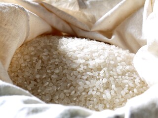 日本のブランド米、秋にとれた新米です