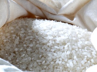 日本のブランド米、秋にとれた新米です