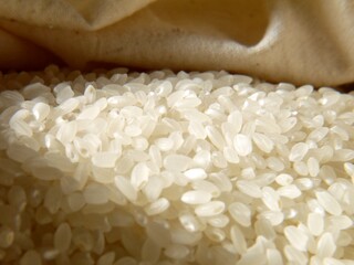 日本のブランド米、秋にとれた新米です