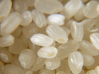 日本のブランド米、秋にとれた新米です