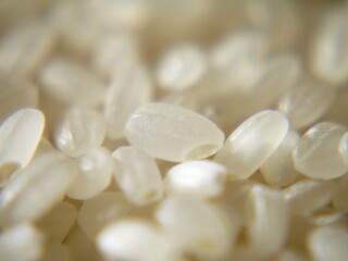 日本のブランド米、秋にとれた新米です