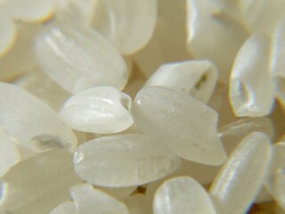 日本のブランド米、秋にとれた新米です