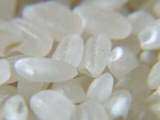 日本のブランド米、秋にとれた新米です