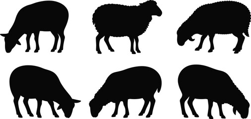 Silhouette Set of Professional Musicians Playing Trumpet Saxophone and Violin for Jazz Band Orchestra Performance Music Concert and Artistic Entertainment © Sree