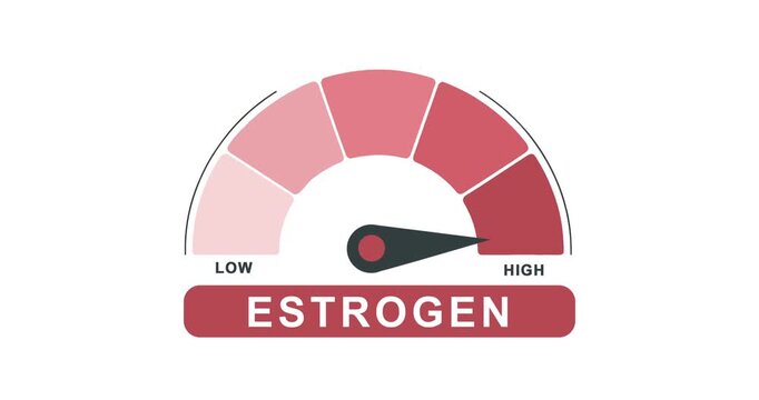 Animated estrogen hormone level meter gauge showing low to high indicator for fertility, women's health pregnancy and hormonal balance concepts.