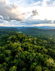 Fototapeta premium Aerial view of lush green forest landscape with cloudy sky