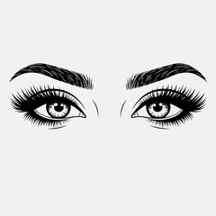 Beautiful Female Eyes Illustration &ndash; Eyebrows Eyelashes Makeup Line Art