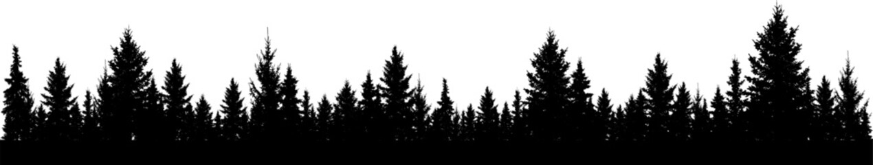 Forest of Christmas fir trees silhouette. Coniferous spruce panorama. Park of evergreen wood. Vector on white background (Every tree isolated, separate from each other, free-standing)