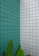 Abstract architectural close-up showing a geometric contrast between turquoise and white tiled walls, with green tropical foliage in the foreground, creating a striking visual composition an