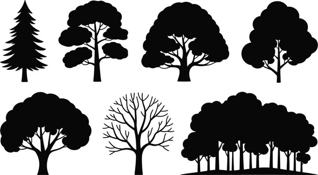 Set of trees in various shapes and sizes on white background