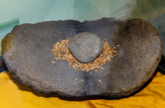 An ancient quern stone, specifically a saddle quern used for grinding grain by hand