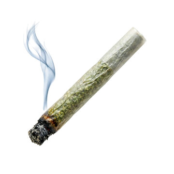 Realistic burning rolled marijuana cigarette or joint with gray smoke rising and ash tip showing green cannabis herb inside isolated on a transparent background