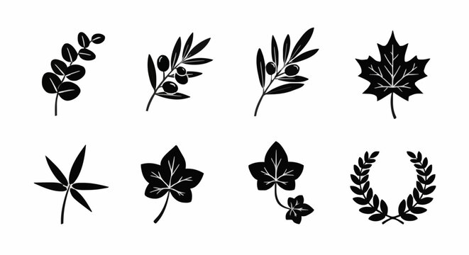 A collection of botanical silhouettes featuring olive branches, laurel wreath, maple leaf, ivy, and eucalyptus for peace symbols and branding.