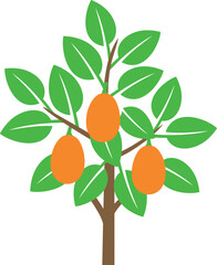 Kumquat tree logo. Isolated kumquat tree on white background