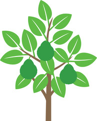 Bergamot tree logo. Isolated bergamot tree on white background