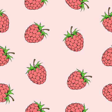 Raspberry seamless pattern 