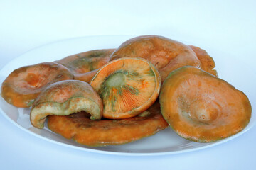 Fresh saffron milk caps on a white plate
