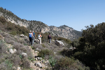 Fototapeta premium Group of hikers walking mountain trail for adventure. Men women trekking