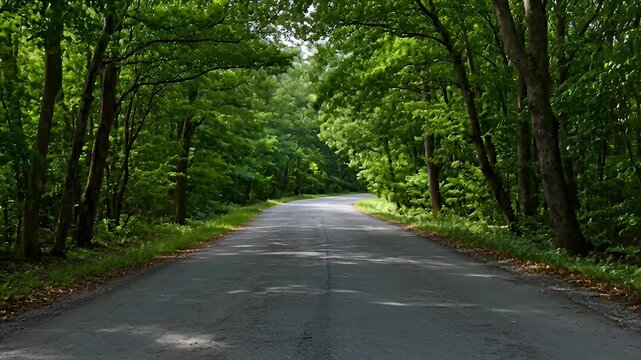 Mountain road forest aerial background with subtle canopy parallax and soft light drift