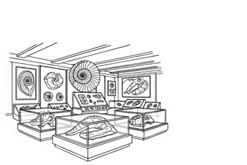 Museum exhibit displays fossils of ancient marine life and dinosaur skulls © Kanan