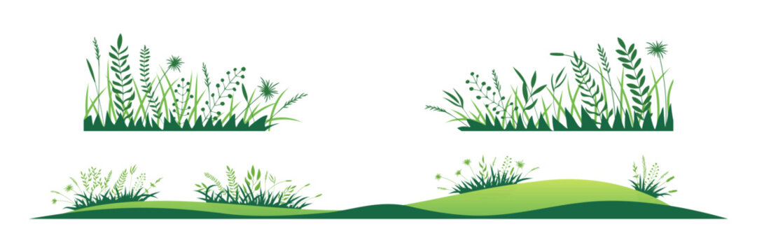 Drawn green grass isolated on white background, vector design
