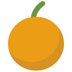 Fresh Orange Illustration