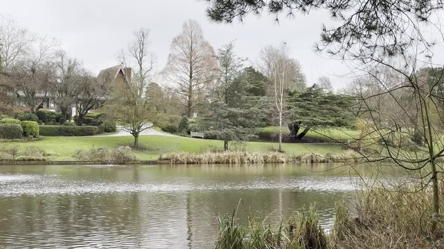 Calm lake view in Queens Park Crewe with trees and peaceful riverside scenery, vertical footage.