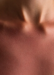 Sunburned Skin Texture on Neck and Collarbone Close-Up
