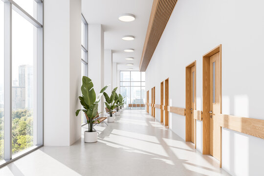 Contemporary hospital corridor interior with wooden doors, potted plants, and large windows in bright daylight. Clean modern healthcare design concept. 3D Rendering