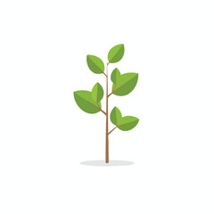 Fototapeta premium Young Green Plant Growing with Fresh Leaves in Natural Environment