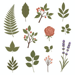 Collection of Hand Drawn Floral Elements