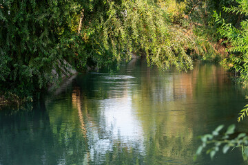 Calm river water with reflections and green reeds