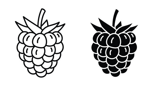 Black and white illustration of two raspberries, one filled and one outlined.