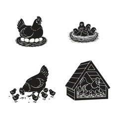 vector silhouette illustration of chickens and chicks with their nests and coops and looking for food © rahmat