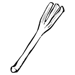 長ネギの線画イラスト