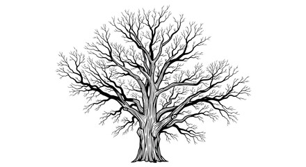 Obraz premium Bare Tree Silhouette in Dramatic Monochrome with Detailed Branches for Graphic Design