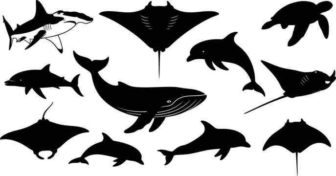 Sea animal silhouette collection, wild marine life vector set, whale dolphin shark ray turtle graphics, ocean underwater creature icons, isolated black aquatic fauna elements.