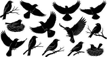 Obraz premium Black bird silhouette set, flying birds collection, sitting on branch, nesting behavior, avian vector elements, nature wildlife graphics, wings spread, crow, raven, sparrow, swallow, feathered animals