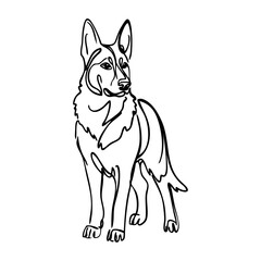 Dibujo con línea continua de un perro pastor alemán  © teracreonte