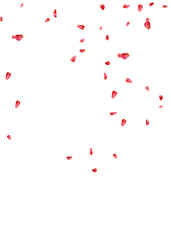 Flying Red Rose Petals