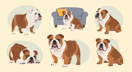 Obraz premium Six illustrations of English Bulldogs in various poses on a pale yellow background