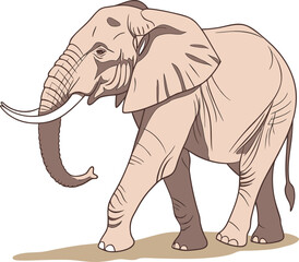 Fototapeta premium Print