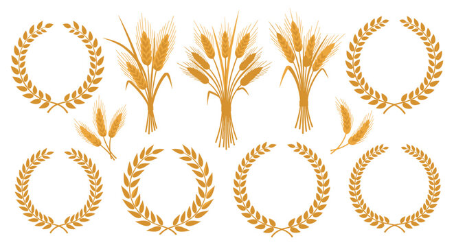 Golden Wheat And Grain Wreath Vector Set With Agricultural Harvest Symbols And Decorative Laurel Circles For Food And Farm Branding