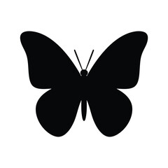 Silhouette of a Butterfly on White Background