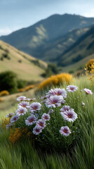 Obraz premium Wildflower field mountain landscape nature grass outdoor scenic summer bloom create peaceful wildflower field with mountain view and soft sunlight
