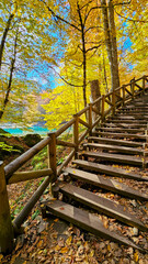 Autumn landscape in (seven lakes) Yedigoller Park Bolu, Turkey