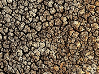 Dry cracked earth texture background