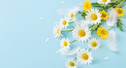 Obraz premium A bouquet of white and yellow daisies on a light blue background with petals falling off